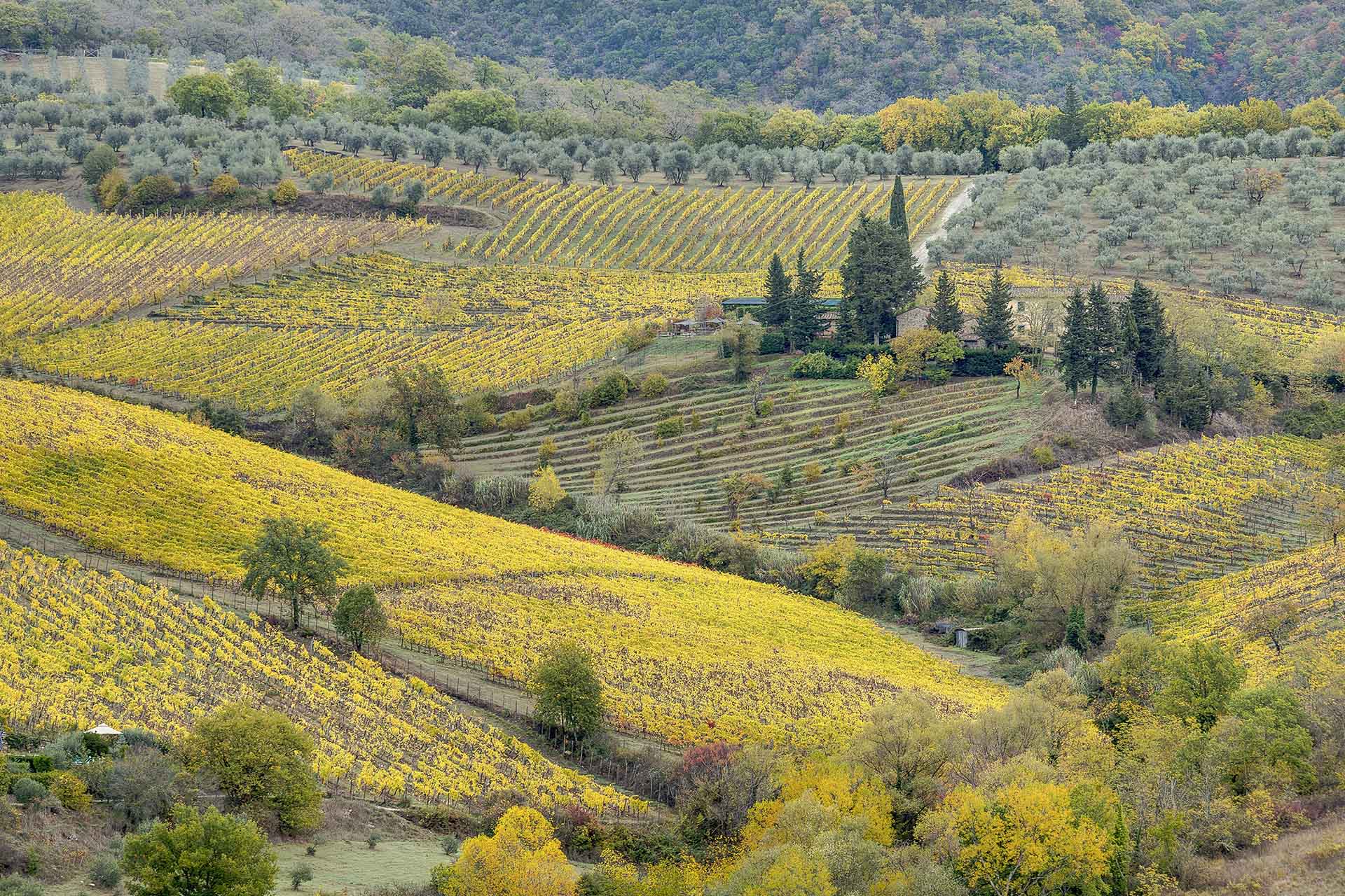 chianti-terre-di-baccio-country-house-in-chianti